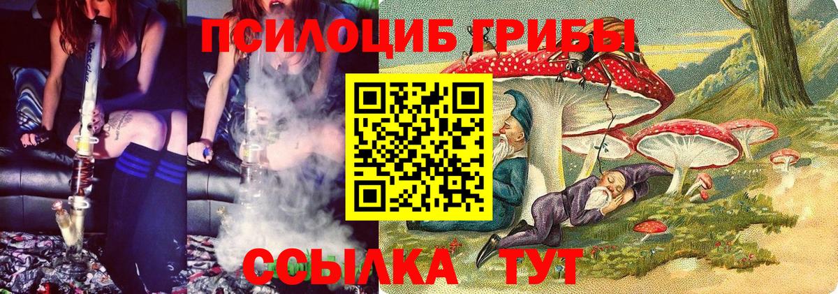 Псилоцибиновые грибы мицелий Кувандык