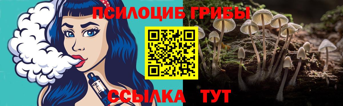 Галлюциногенные грибы мухоморы  Вход с VPN  Кувандык 